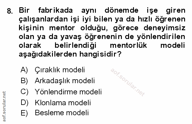 Soru 8