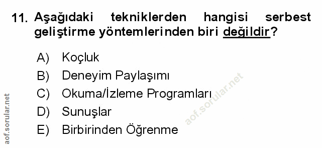 Soru 11