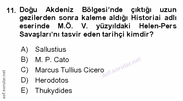 Soru 11