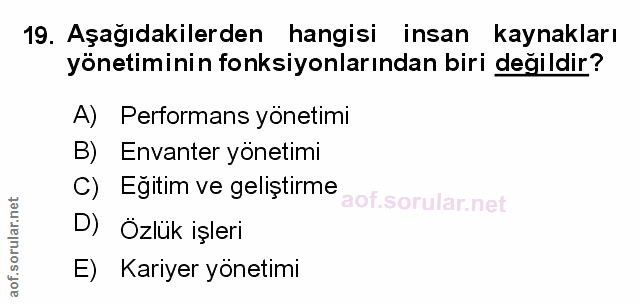 Soru 19