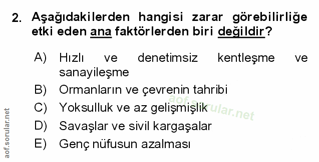 Soru 2