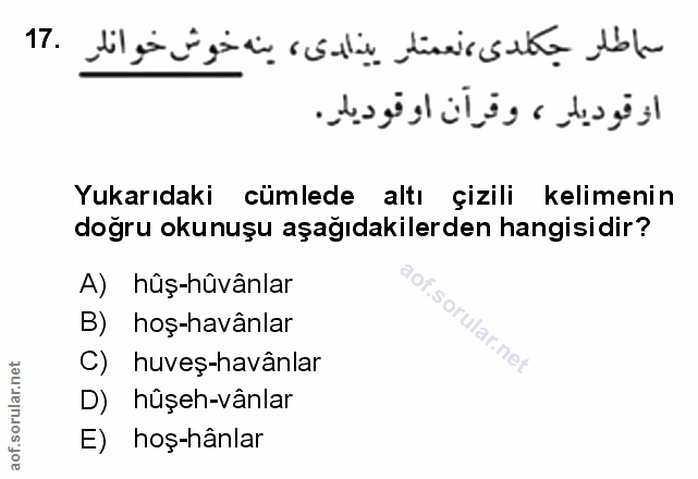 Soru 17