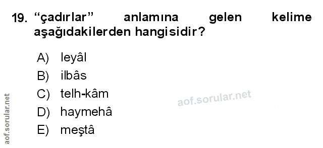 Soru 19