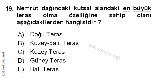 Soru 19