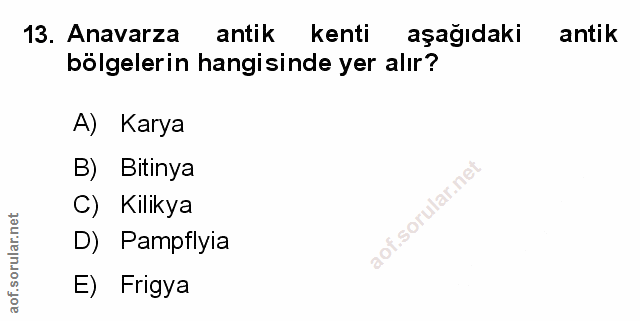 Soru 13