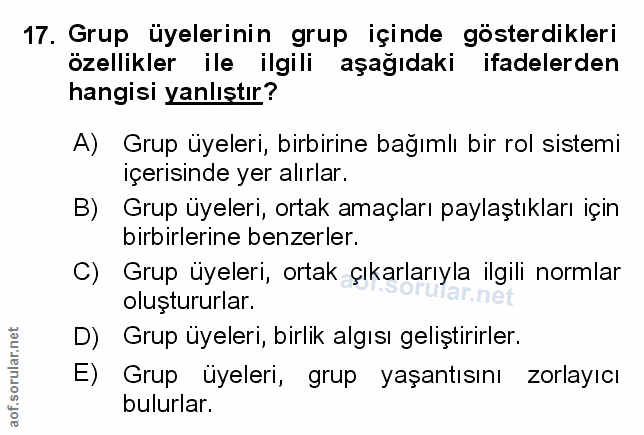 Soru 17