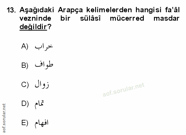 Soru 13