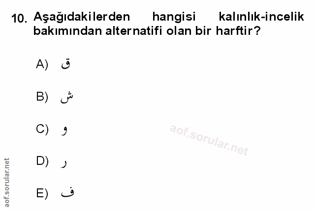 Soru 10
