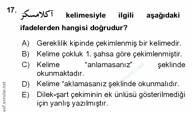 Soru 17
