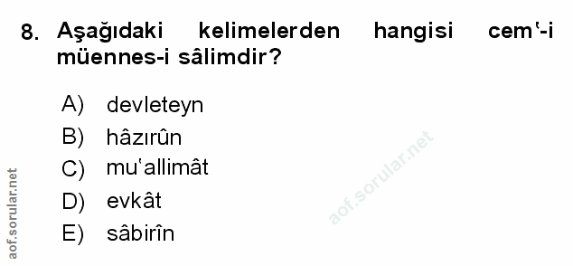 Soru 8