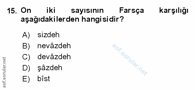 Soru 15