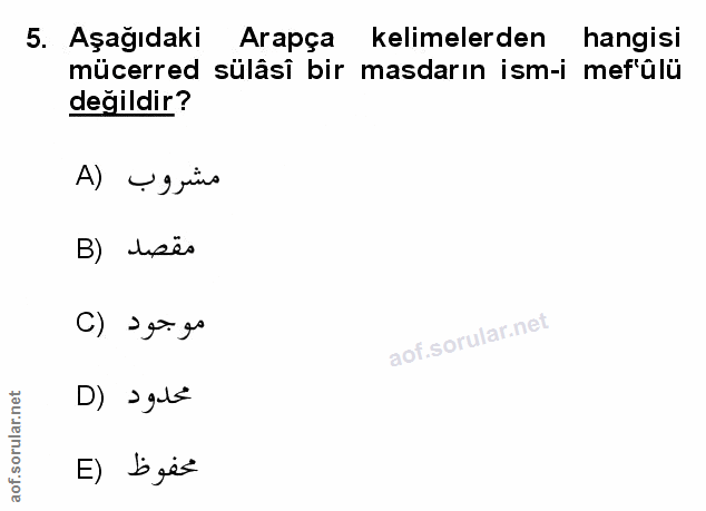 Soru 5