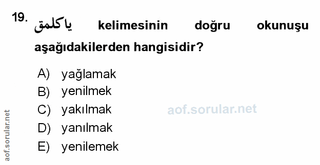 Soru 19