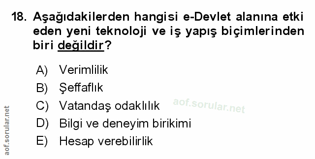 Soru 18
