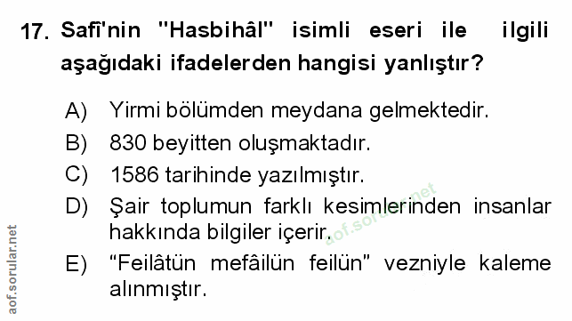Soru 17