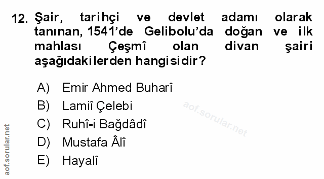 Soru 12