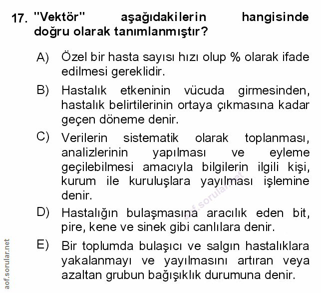 Soru 17