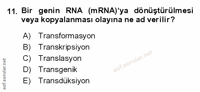 Soru 11