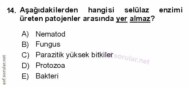Soru 14