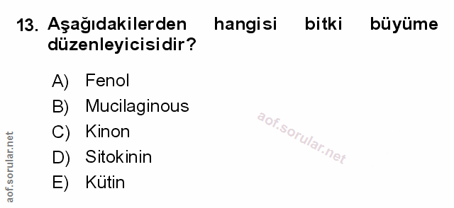 Soru 13
