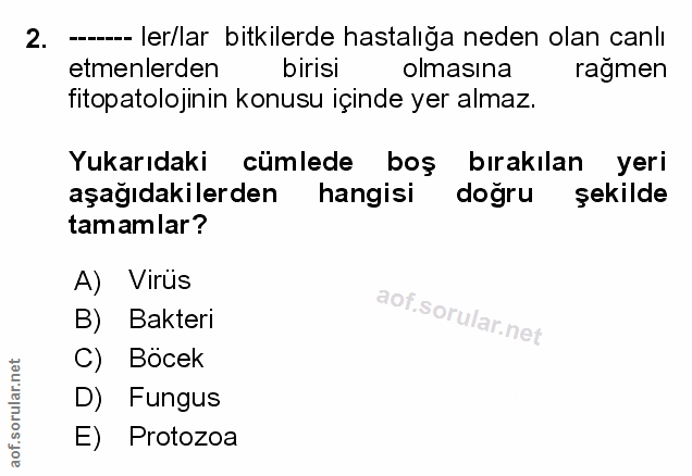 Soru 2