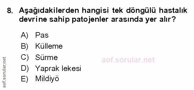 Soru 8