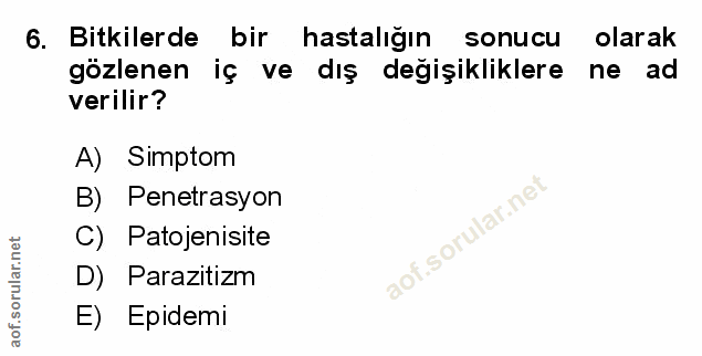 Soru 6