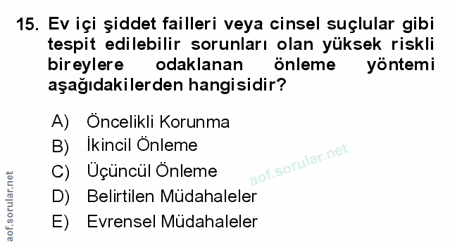 Soru 15