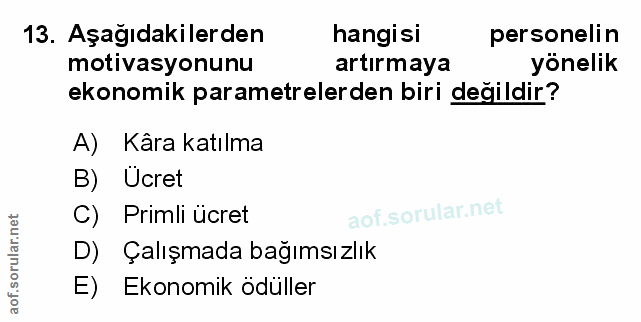 Soru 13