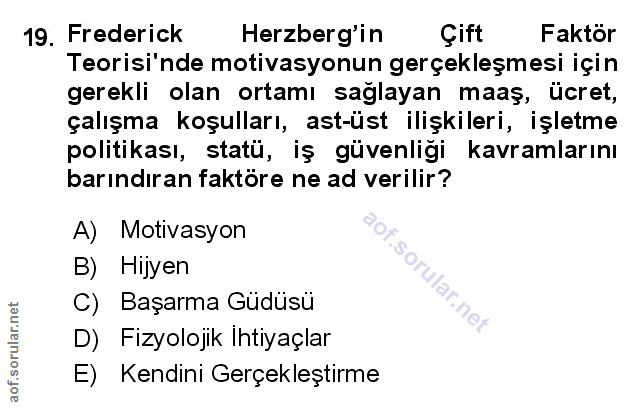Soru 19