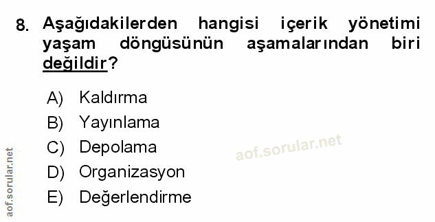 Soru 8