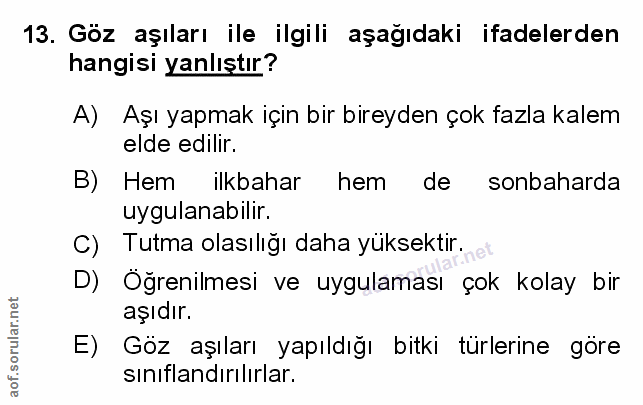 Soru 13