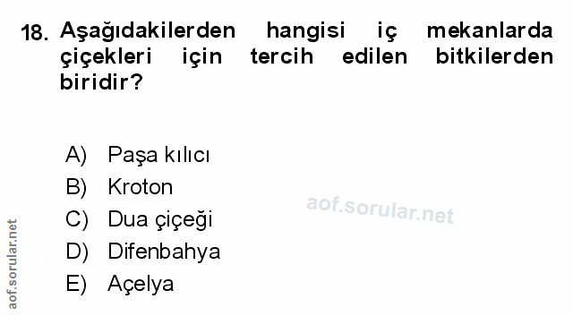 Soru 18