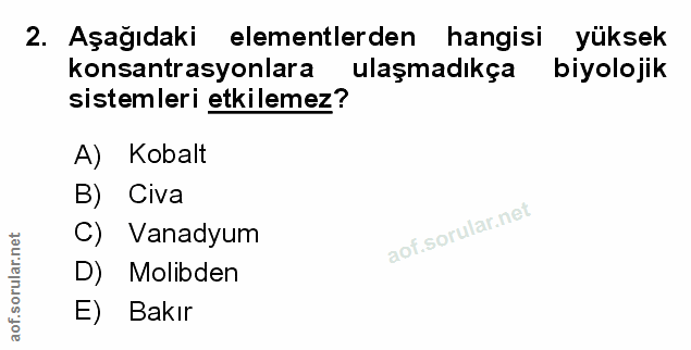 Soru 2