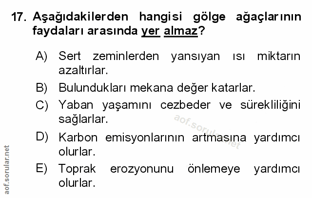 Soru 17