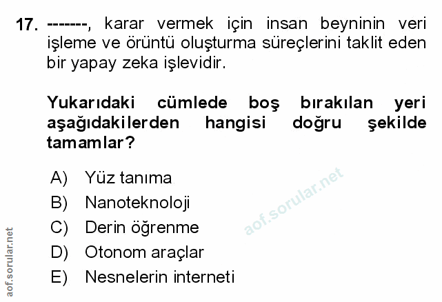Soru 17
