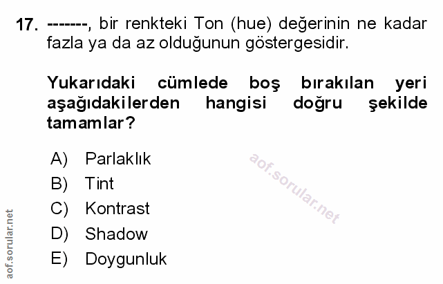 Soru 17