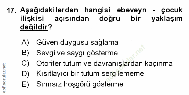 Soru 17