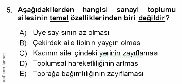 Soru 5