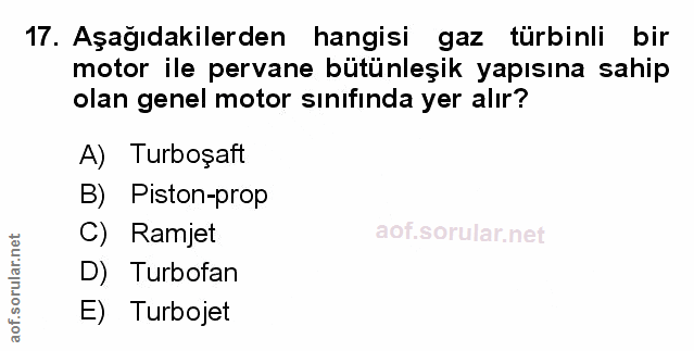 Soru 17