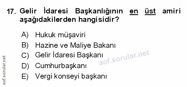 Soru 17
