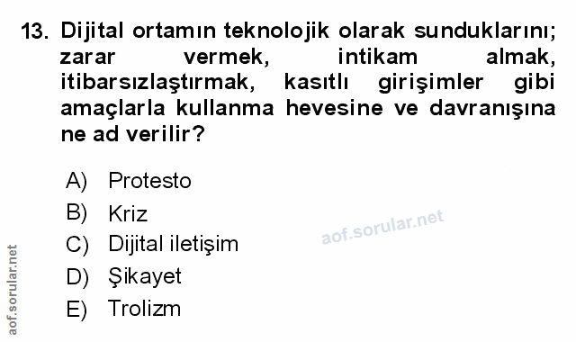 Soru 13