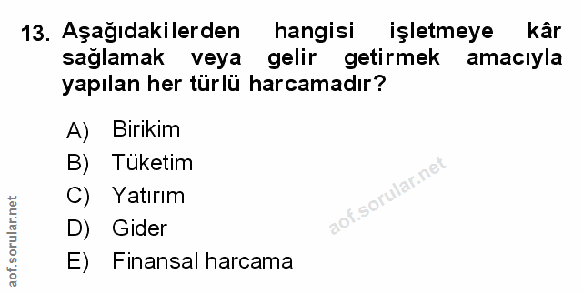 Soru 13