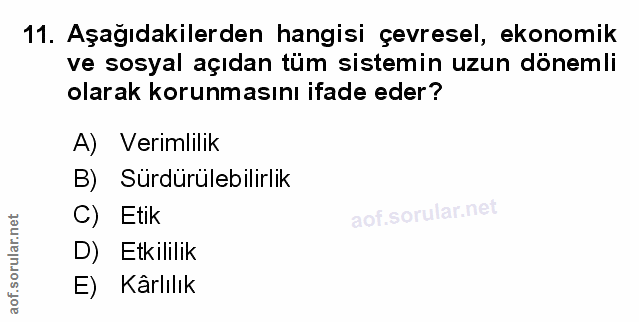 Soru 11