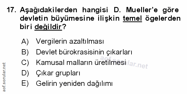 Soru 17