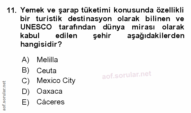 Soru 11