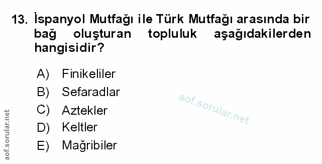 Soru 13