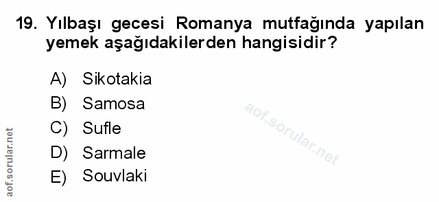 Soru 19