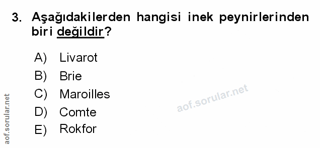 Soru 3