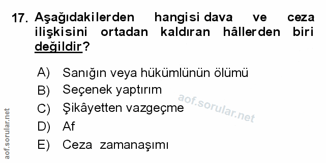 Soru 17